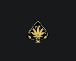 aceultrapremiumonline400-1776255299079-dd17e70e