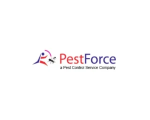 kldfg-1777049871356-f6d6f46a